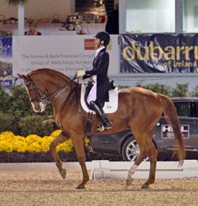 Amicelli and Barbara Strawson piaffe at the Devon Horse Show