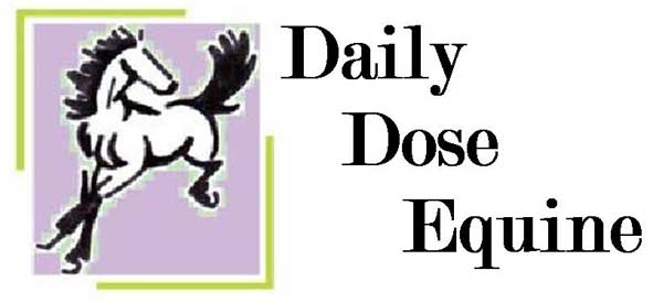 Daily Dose Equine Logo