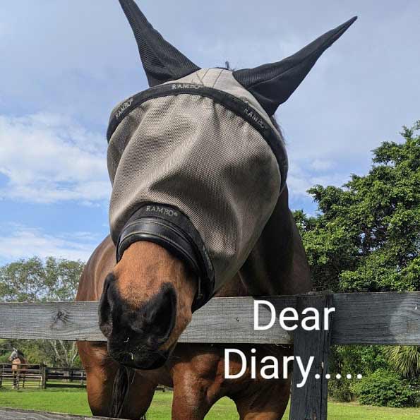 dear diary